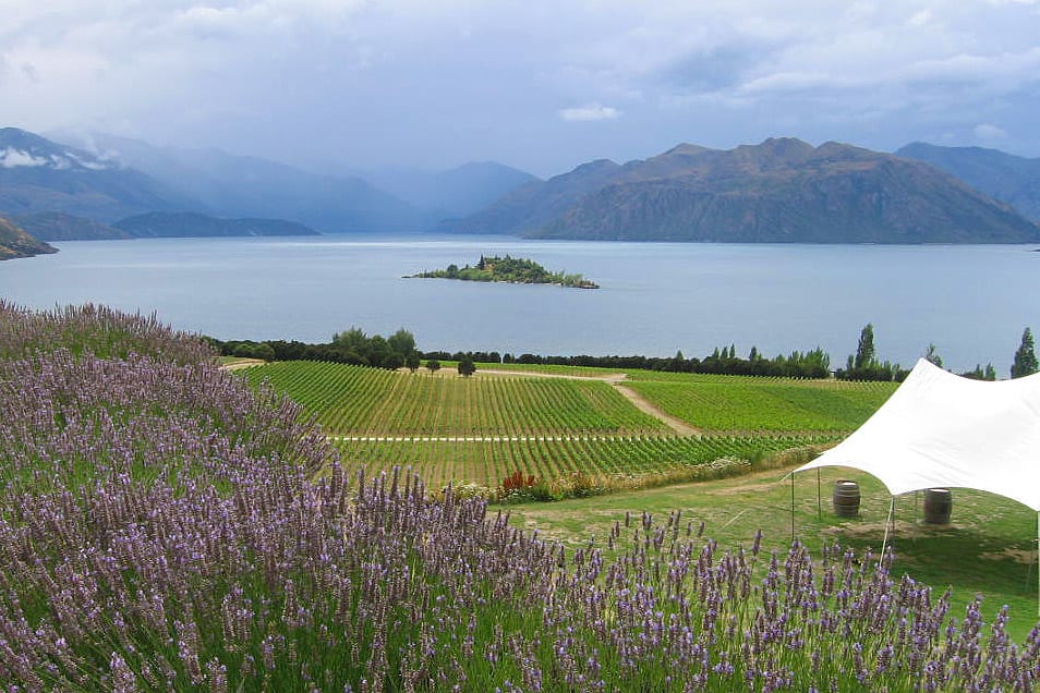 Rippon Winery